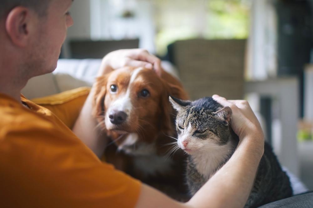 A man relaxing on a sofa with a cat curled beside him and a dog laying comfortably at his feet, highlighting a peaceful moment with pets at home - Emergency Vet St John’s