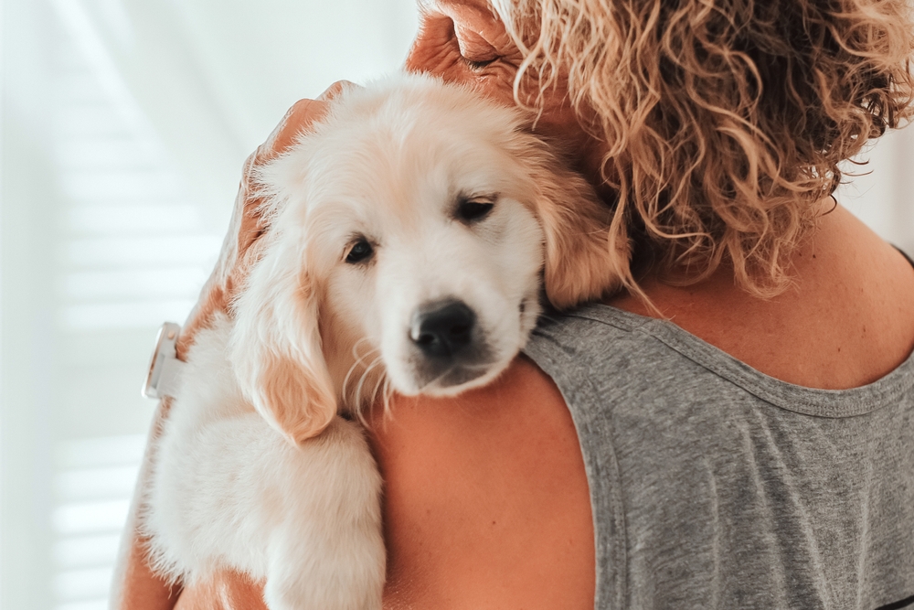 Golden Retriever Puppy Being Comforted by Owner - Emergency Vet Palm Coast A sleepy golden retriever puppy being held closely by a woman with curly hair in a gray tank top, capturing a moment of care and affection - Emergency Vet Palm Coast